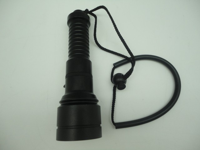 DL-16093 Diving Torch