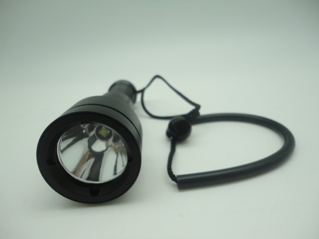 DL-16093 Diving Torch